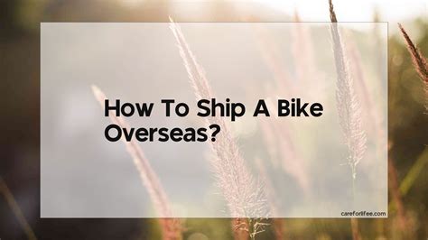 shipping bike overseas